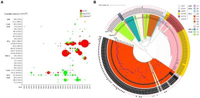 Risk factors and genetic characteristics of the carriage of hypervirulent and carbapenem-resistant Acinetobacter baumannii among pregnant women